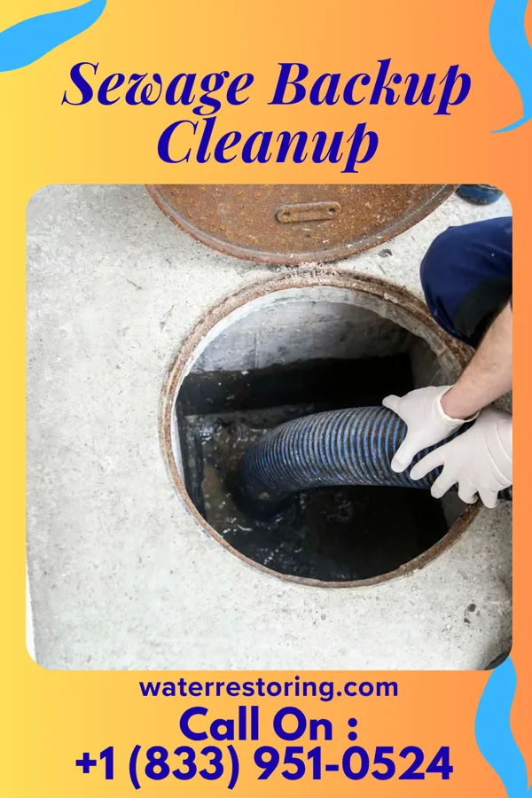 Sewage Backup Cleanup in Ross, TX